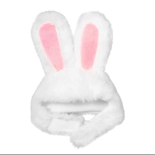 Bunny Ears Headwear